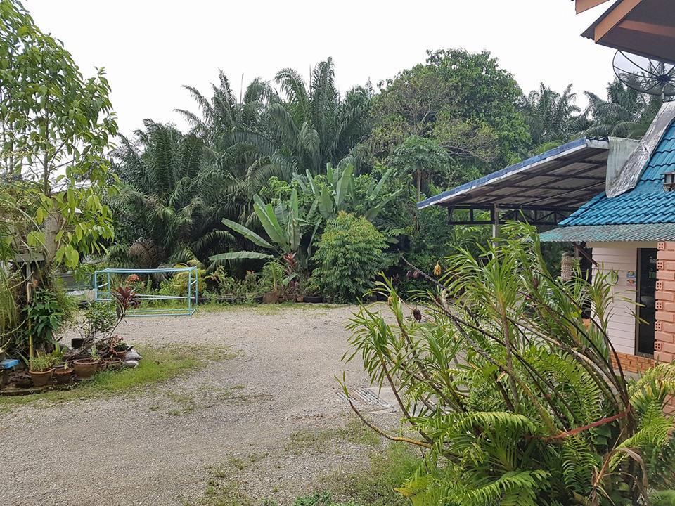 Baan Roongranee Hotel Phang Nga Buitenkant foto